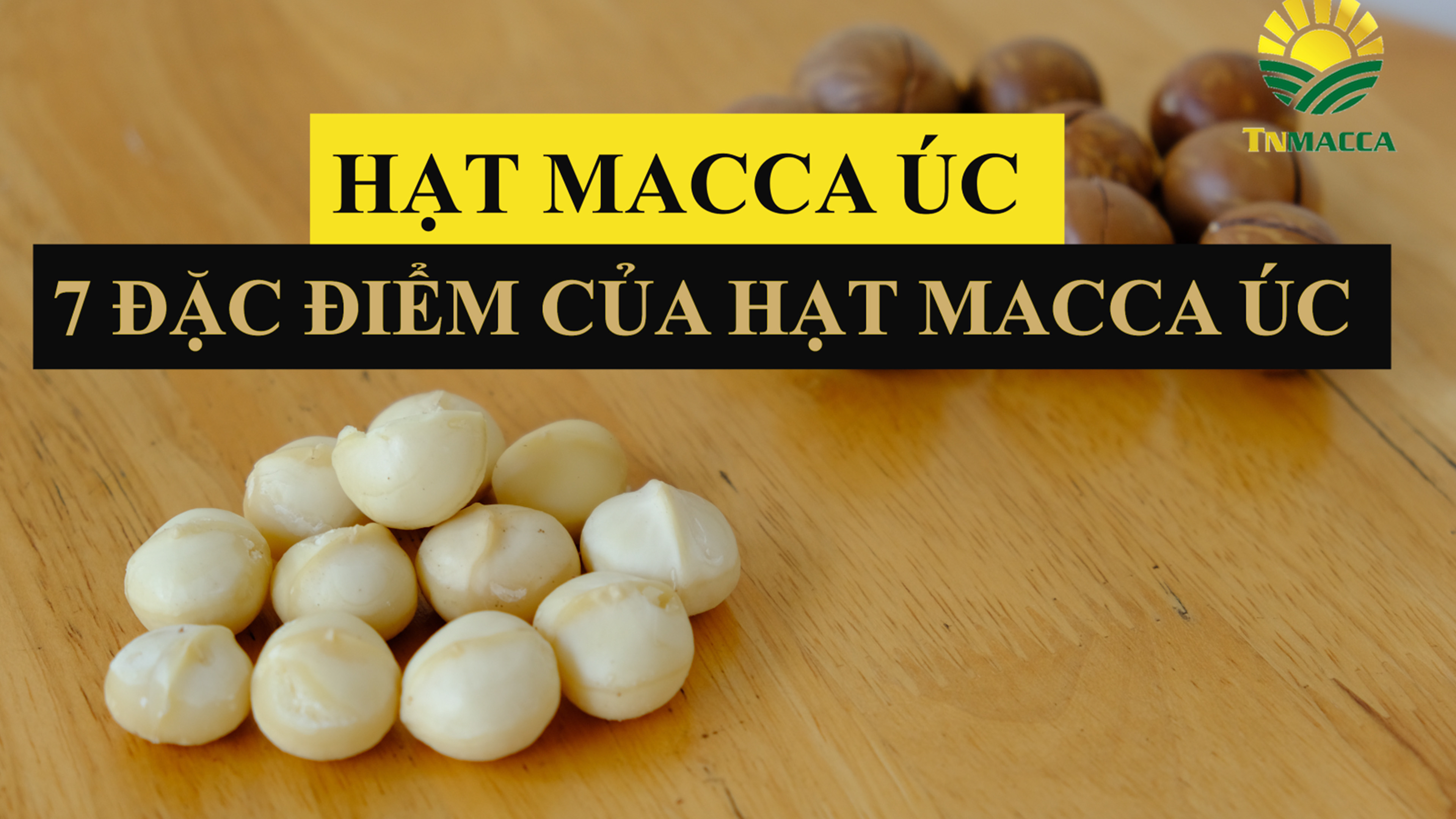 Hạt macca úc : 7 đặc điểm chính của hạt macca úc để bạn tham khảo trước khi mua sản phẩm